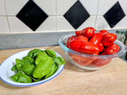Tomato basil summer